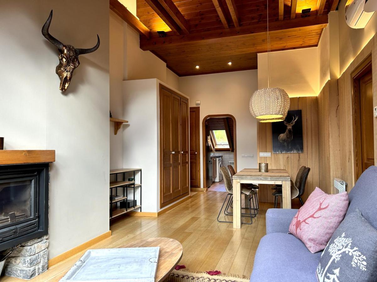 Atic De Luxe I Rustic A Esterri D'Aneu By Rural D'Aneu Ngoại thất bức ảnh
